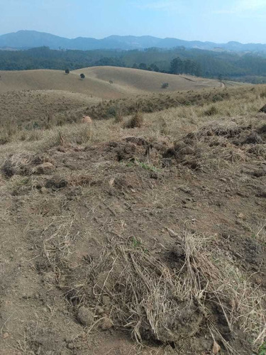 Imagem 9 de 10 de 08- Terreno De 10 Mil M2 Com Área De Preservação