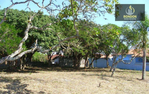 Imagem 1 de 1 de Terreno Residencial À Venda, Jardim Jamaica, Itanhaém. - Te0137