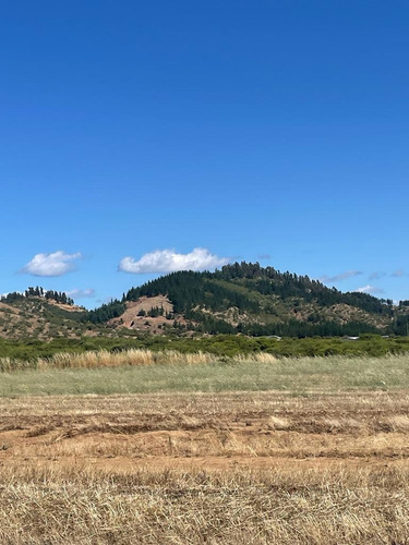 Proyecto Arrayan Marchigue: Exclusividad A 45m De Pichilemu