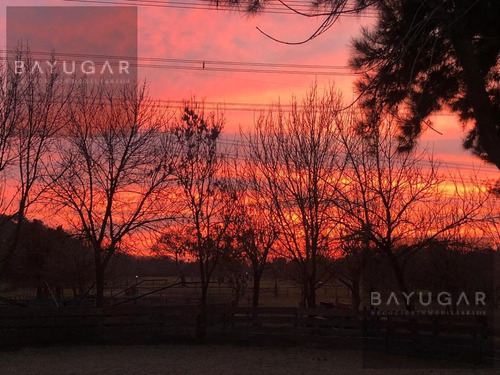 Imagen 9 de 23 de Alquiler Temporal - Lindísima Casa En Altos De Manzanares - Bayugar Negocios Inmobiliarios
