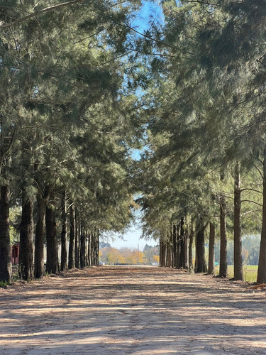 Lotes - Terreno En Venta - Barrio Abierto - Las Merceditas