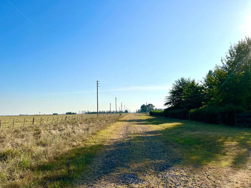 Imagen 16 de 20 de Venta Chacra 15 Hectareas Cañuelas Buenos Aires