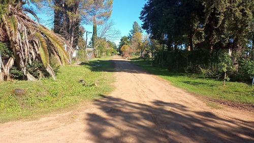 Imagen 6 de 12 de Venta Lote - Barrio Don Pedro Gualeguaychu