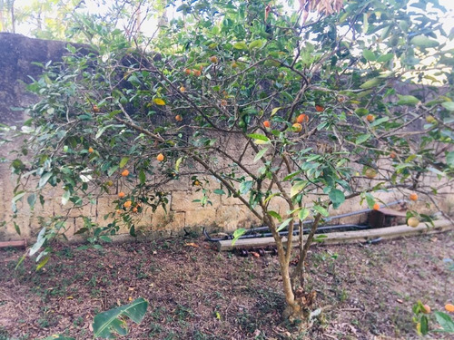 Imagem 18 de 18 de Chácara À Venda Em Mairiporã/sp - Compre Já A Sua! - 0200 - 34968725