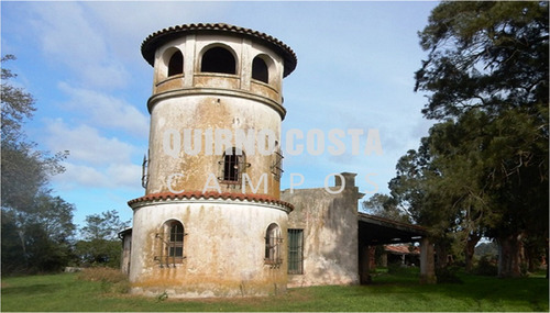 Imagen 3 de 8 de Campo Agricola Venta Sierra Los Padres Mar Del Plata Batan