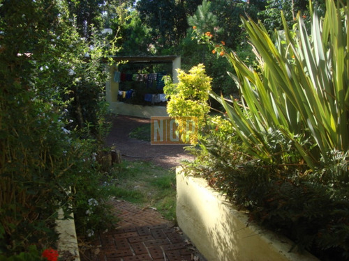 Imagen 8 de 24 de Casa En Zona Solanas Punta Ballena