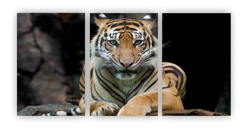 Kit 3 Quadros Decorativos Tigre Animal Felino Mdf 20x29