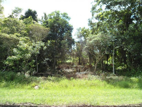 Terreno Para Venda Em Peruíbe, Perola Negra - 0220_2-213189