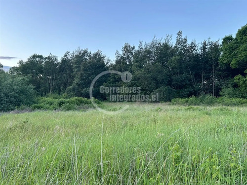 Sitio En Venta En Lanco Precioso