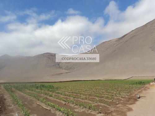 Sitio Ruta 302/arica