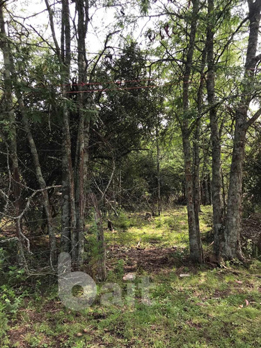 Imagen 28 de 30 de Vendo Campo De 2, 5 Hectareas Entre Unquillo Y Cabana