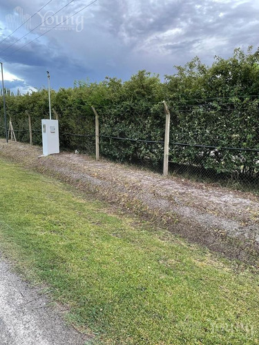 Imagen 10 de 19 de Retazado Terreno Proyecto Aprobado - Campos De Roca L
