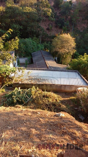 Imagem 4 de 15 de Terreno - Jardim Sao Luis - Ref: 1564 - V-1564