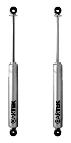 2 Amortiguadores Direccion Del Dg Ram 1500 1994-1997 4wd Ctk