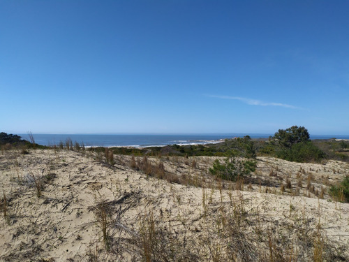 Imagen 11 de 19 de Solar - En Venta En La Viuda Punta Del Diablo A 150m De La Playa - Mza 253