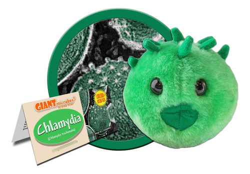 Giantmicrobes Chlamydia Plush - Aprende Todo Sobre Las Its,.