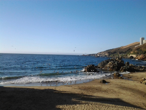 Imagen 6 de 23 de Espectacular Vista. Primera Linea Exclusiva