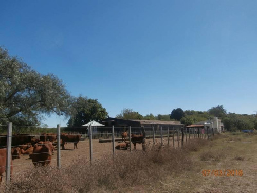 Imagen 24 de 25 de Campo Alto A 60 Km Del Ovelisco 376 Hectareas Con Mejoras