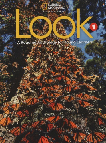 American Look 1 - Reading Anthology, de Bilsborough, Katherine. Editorial National Geographic Learning, tapa blanda en ingles americano, 2020