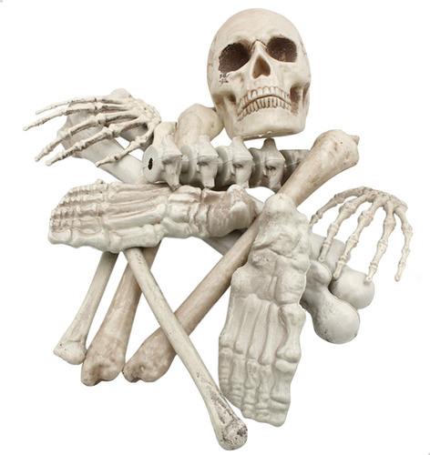 Esqueleto 19 Piezas Craneo Brazos Mano Decoración Halloween 