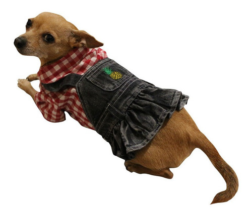 Colección Casual Para Perrita Talla 3