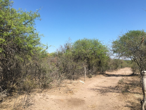 Imagen 2 de 5 de Campo Venta Córdoba Zona Charbonier Córdoba Argentina Ruta38