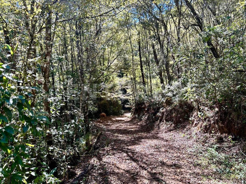 Terreno En Venta En San Sebastian Del Oeste