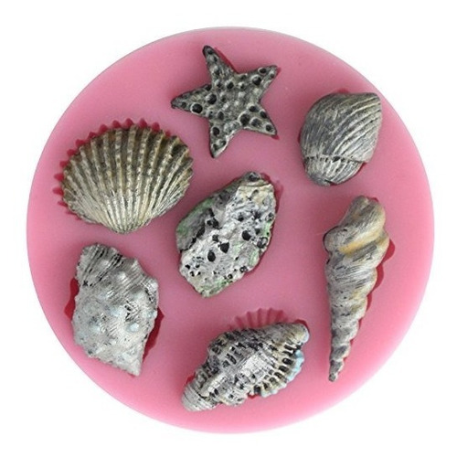 Funshowcase Assorted Sea Star Seashells Molde De Silicona Pa