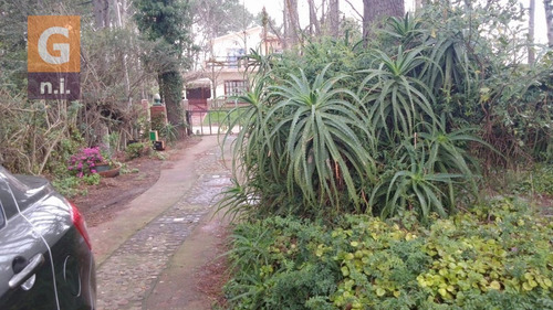 Imagen 7 de 12 de Casa En Piriápolis (country)