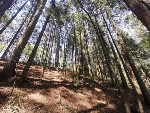 Imagen 7 de 13 de Qh4 Terreno Enorme Inmerso En La Naturaleza