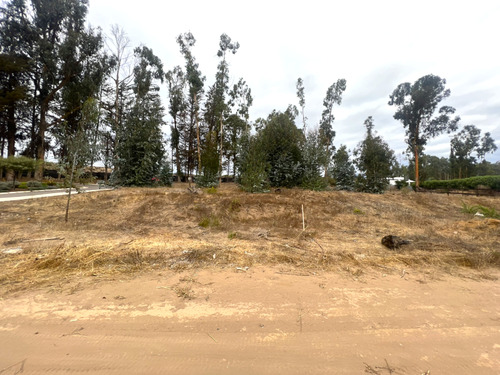 Imagen 11 de 22 de Sitio En Condominio De Categoría En Venta En Puchuncaví