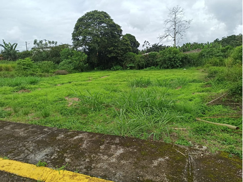 Terreno 1000m2 En Urbanización Santo Domingo Vía Chone Km 8