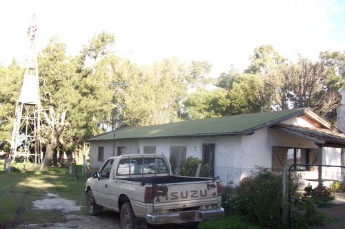 Imagen 16 de 30 de Campo En Venta En Arditti | Ruta 11-km.57 (110 Has)