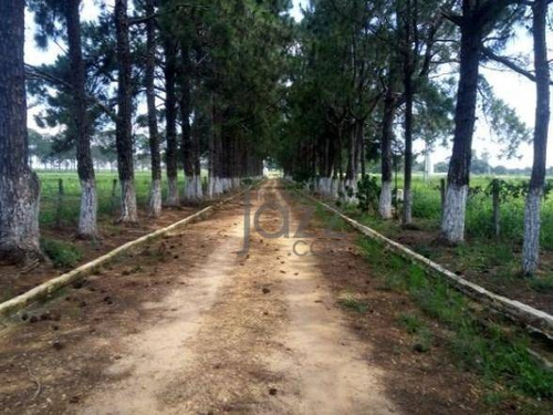 Sitio Antigo Haras - Ch0051