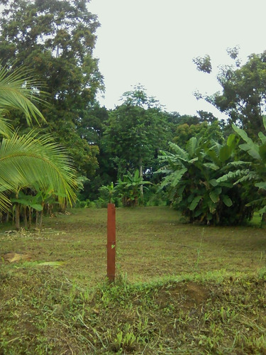 Se Vende Lote, Sonafluca, La Fortuna, San Carlos