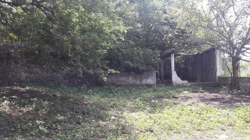 Rancho En Venta En Veracruz Carretera Paso De Ovejas