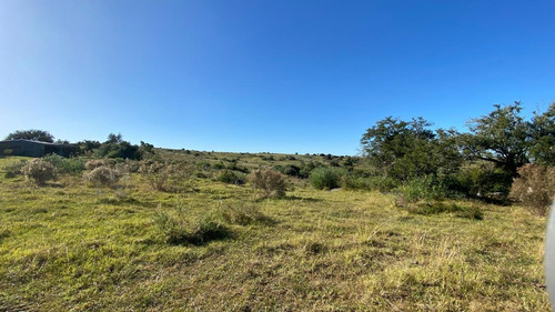 Imagen 19 de 30 de Se Vende Campo De 77 Has En Maldonado. A Pocos Km De Aiguá En Zona De Ruta 39. Ubicación Privilegiada!