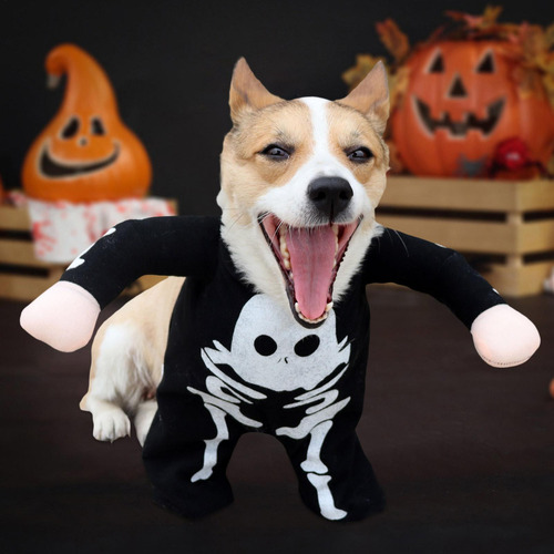 Disfraz De Perro Esqueleto Disfraces De Perro De Halloween R