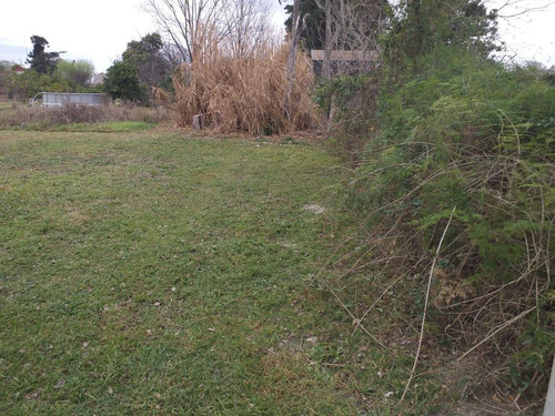 Imagen 5 de 5 de Venta Terreno - Humboldt