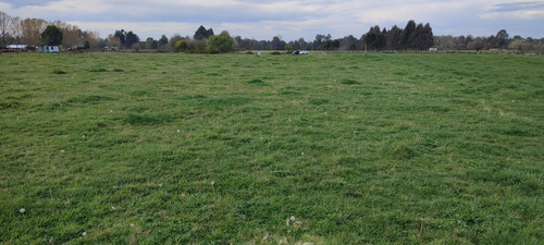 Imagen 11 de 11 de Predio Agrícola 1,5 Ha En Quema Del Buey A 38 Km De Osorno