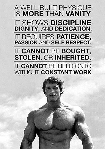 Pósteres - Arnold Schwarzenegger Motivation Gym Poster12x18