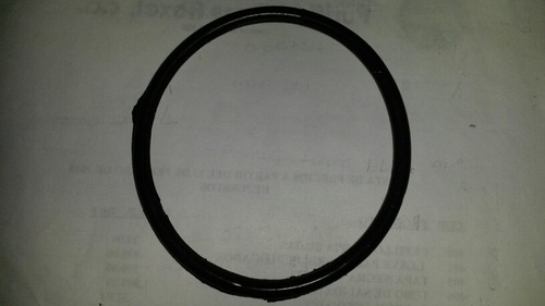 Oring Filtro De Agua Geyser P-10