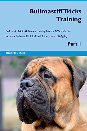 Bullmastiff Tricks Training Bullmastiff Tricks  Y  Games Tra