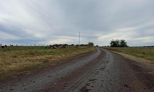 Imagen 3 de 15 de Chacra 5 Has En Madariaga