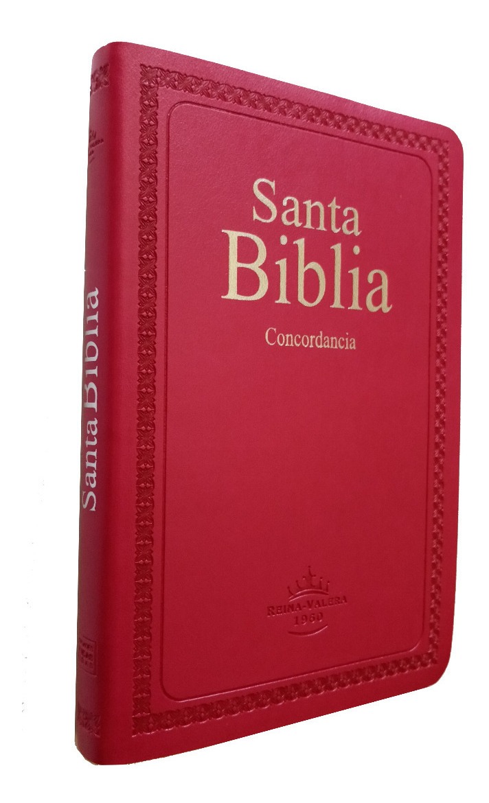 buscar en la biblia reina valera 1960