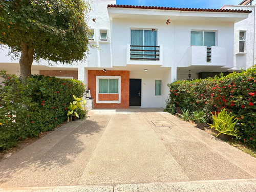 Casa Flamingos Blue