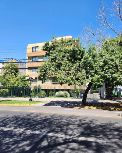 Amplio Depto En Miguel Claro