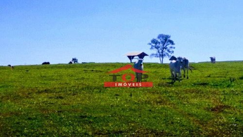 Imagem 13 de 20 de Linda Fazenda À Venda! - Fa0037
