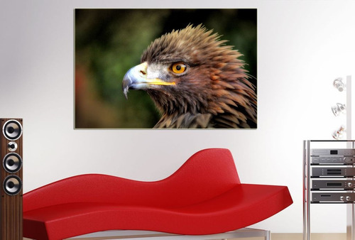Vinilo Decorativo 30x45cm Aguila Pajaro Ave Freedom Eagle 