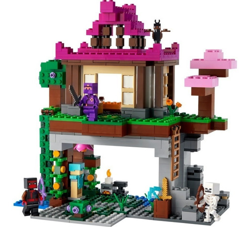 Lego Minecraft 21183 El Campo De Entrenamiento